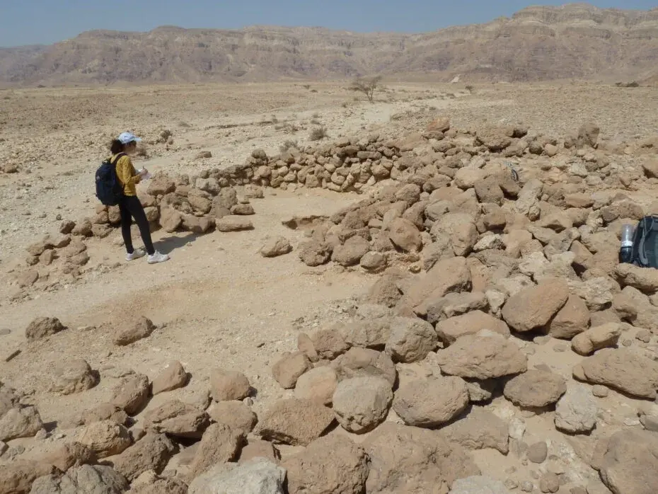 Desert Kites: 6,000 Ancient Traps Revealed from the Sky