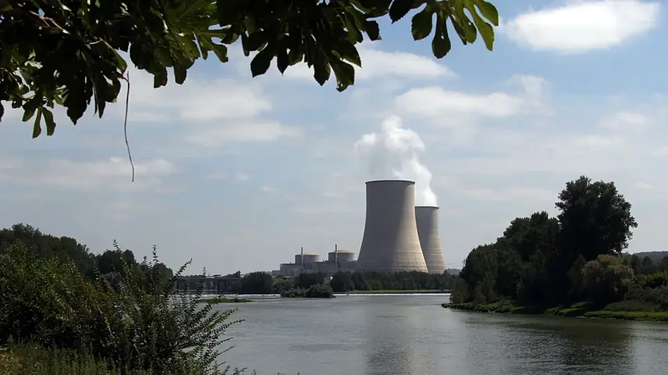 Jellyfish and heatwaves force a fifth of France's nuclear capacity offline
