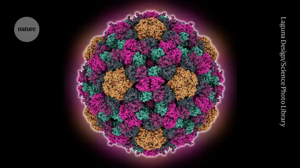 Rewriting a virus genome exposes AI’s blind spots in biology
