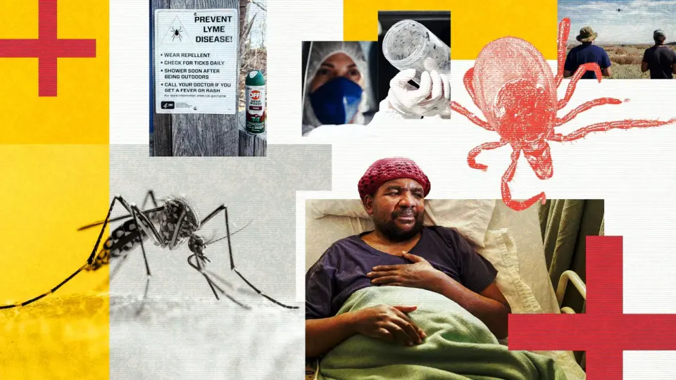 Warming Climate Reshapes Infectious Disease Maps, From Ticks to Antibiotic Resistance