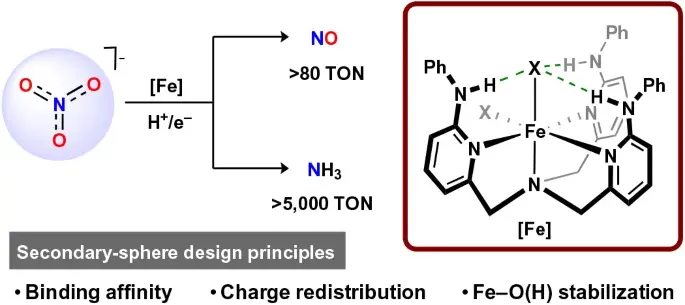Iron Catalysts Use Hydrogen Bonds to Convert Nitrate Pollution into Ammonia