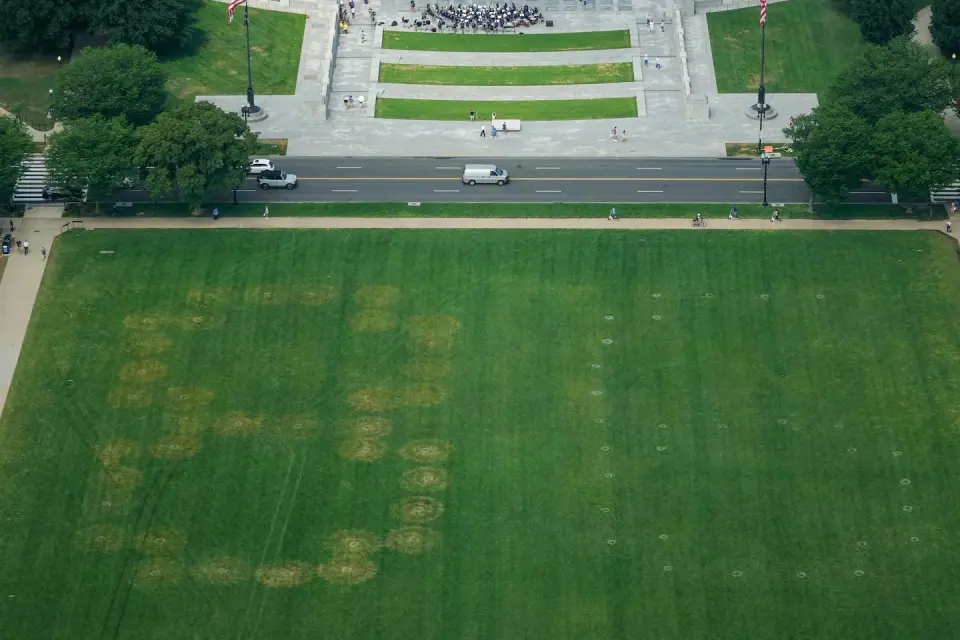 Massive '86 47' markings on National Mall ignite security response amid anti-Trump symbolism