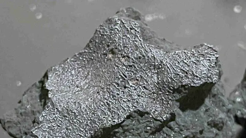 Fragile Hillsborough meteorite uncovers amino acids and salts from the early solar system