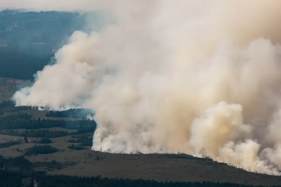 Twin Wildfires Surge in Belgium and a Greek Island, Two Confirmed Dead