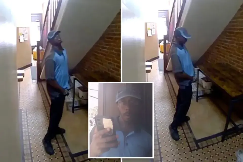 Ring Camera Captures Amazon Driver Urinating in Greenwich Village Lobby