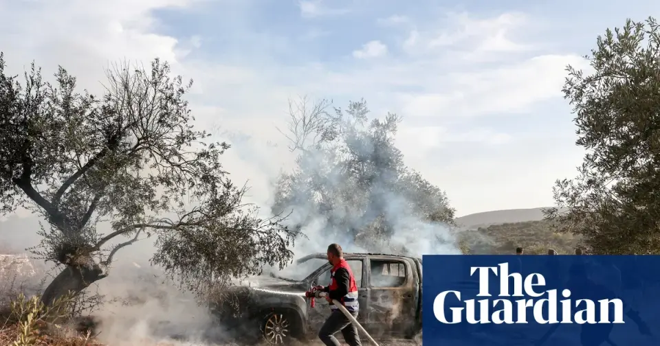 Coordinated settler violence disrupts West Bank olive harvest, injuring journalists and farmers