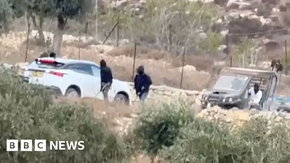 Masked Settlers Assault European Diplomatic Convoy in West Bank Olive Harvest
