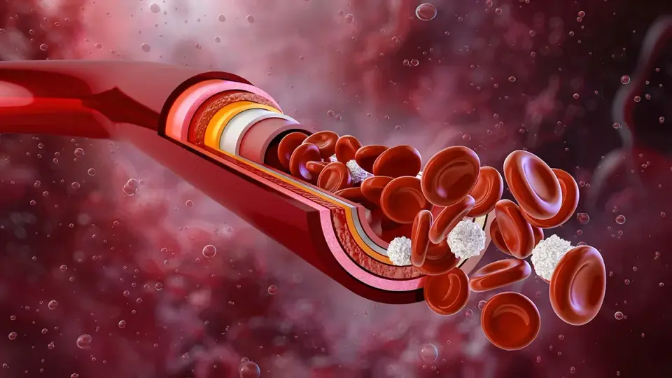 Hypertension’s Hidden Driver: Inflammation-Resolution Pathways and a Promising Drug in Mice