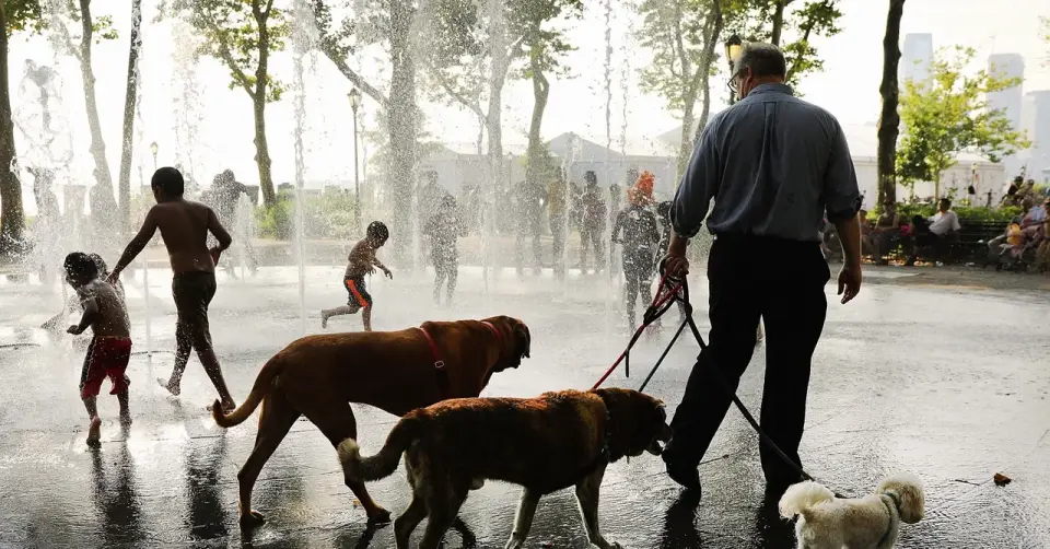 New York Braces for Humid Heat Wave That Feels Like 109°F