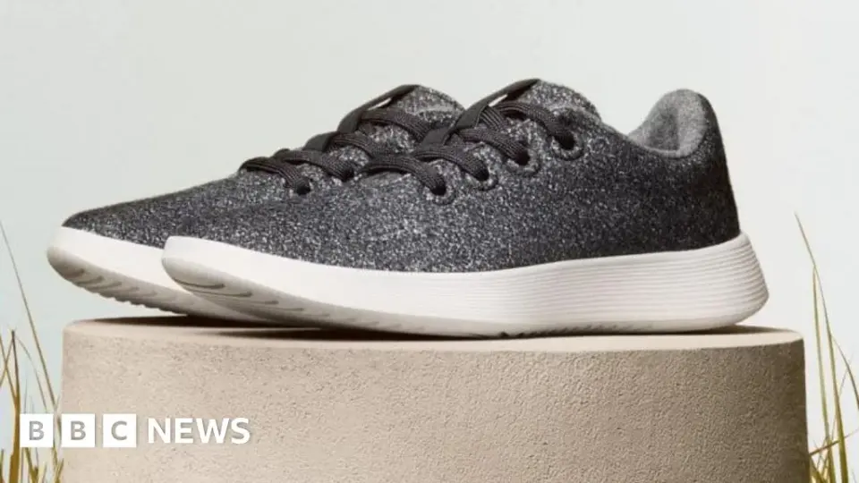 Allbirds pivots to AI, rebrands as NewBird AI, sparking a stock surge
