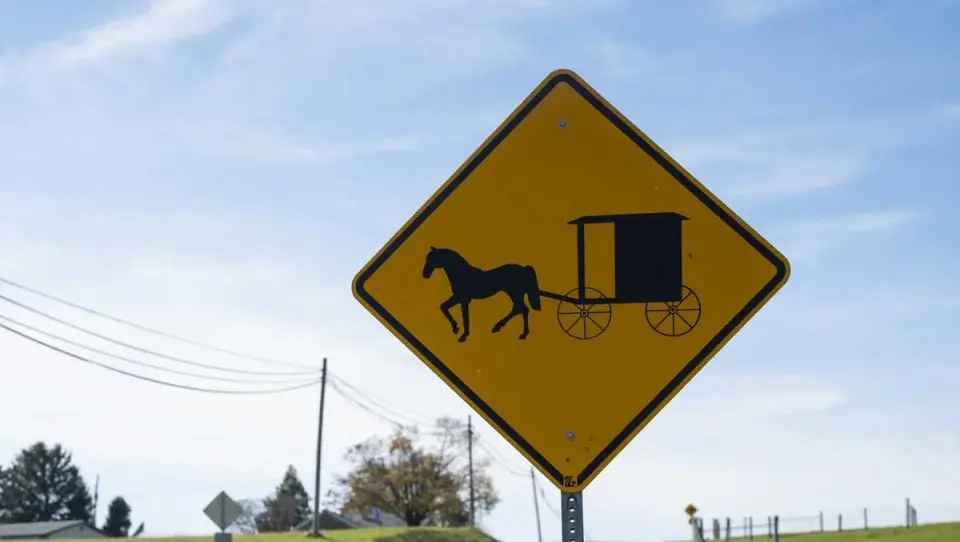 Fatal Collision Involving Amish Buggy and Pickup Truck Kills Two in Canton, N.Y.