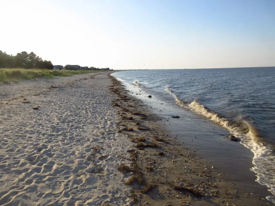 Delaware’s Redbird Reef: A 24-Metre-Deep Subway Graveyard Fueling Local Economy