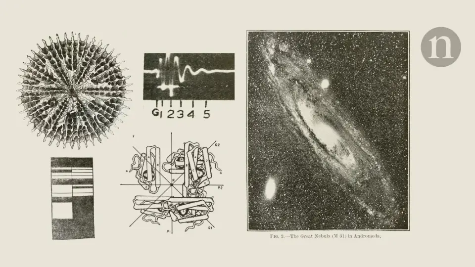 Descartes and the coordinates that reshaped geometry