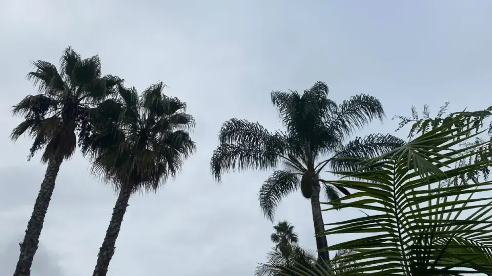 San Diego Lifts Tropical Watch as Post-Tropical Rachel Leaves Behind Flood and Wind Risks