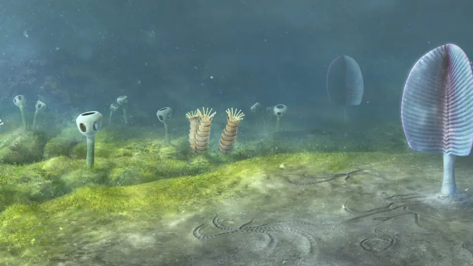 Molecular Clocks Push Animal Origins Back 200 Million Years