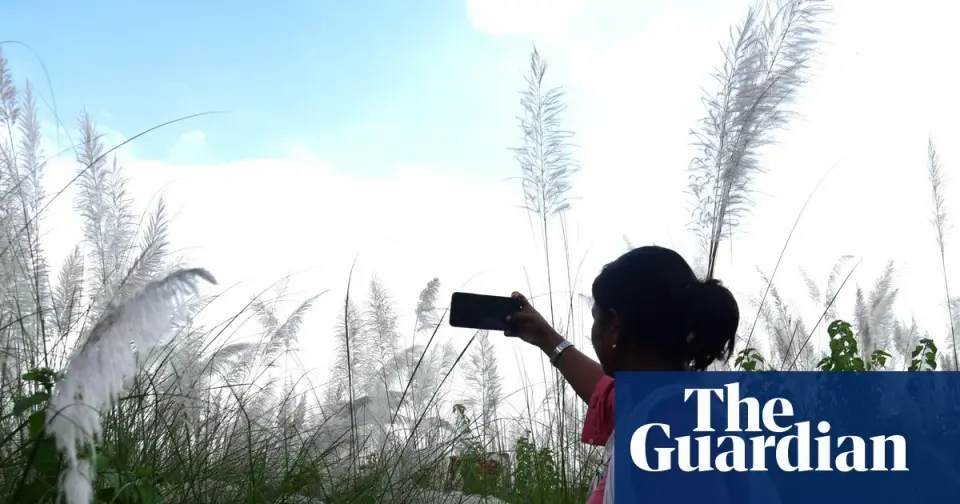 World Bank pushes 'small AI' for developing nations amid infrastructure gaps