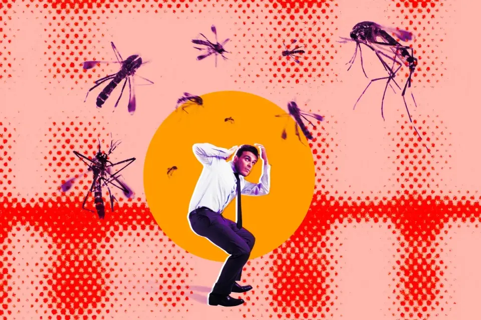 Public Backlash Over Google's Plan to Release 32 Million Mosquitoes