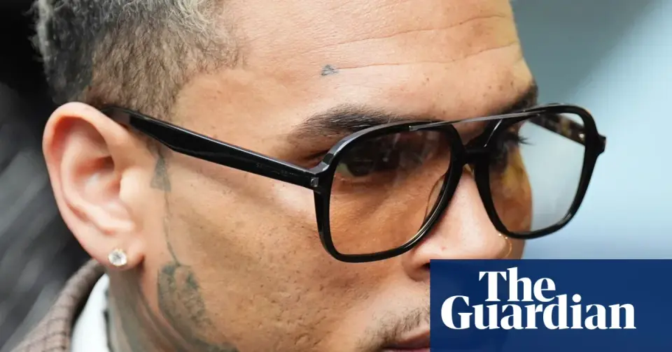 Chris Brown hit with $12.9M damages verdict over guard dog attack