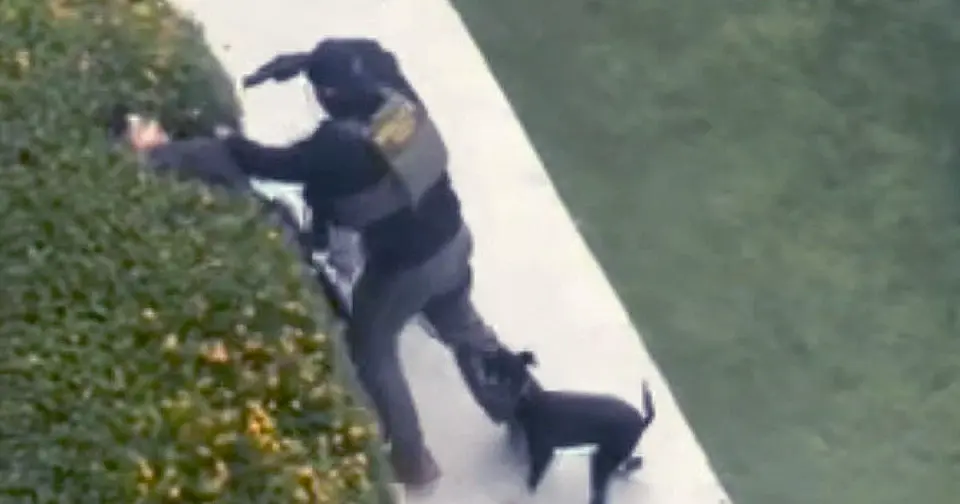 North Hollywood ICE Operation Ends With Gun Pointed at Bystander's Face