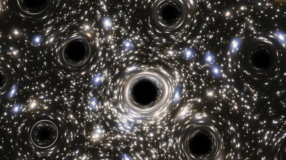 Rogue Black Holes May Preserve Galactic Histories as Cosmic Wanderers