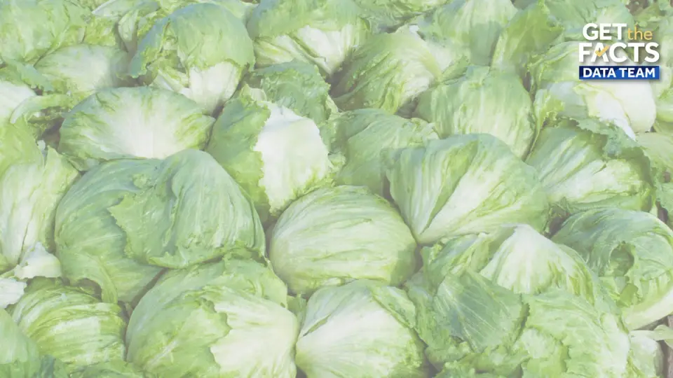 2026 Cyclospora Outbreak Becomes Largest U.S. Foodborne Illness Event Linked to Lettuce