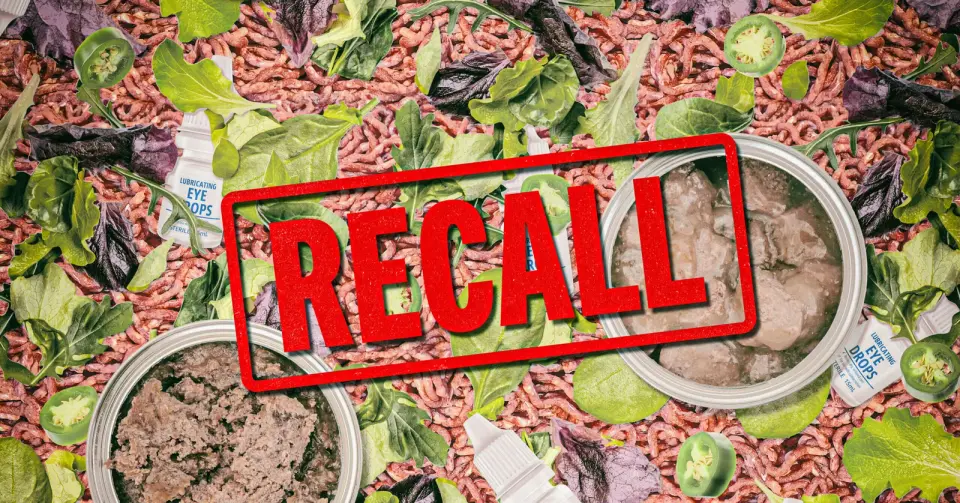 Recall Summer: Navigating a Wave of Contaminated Food