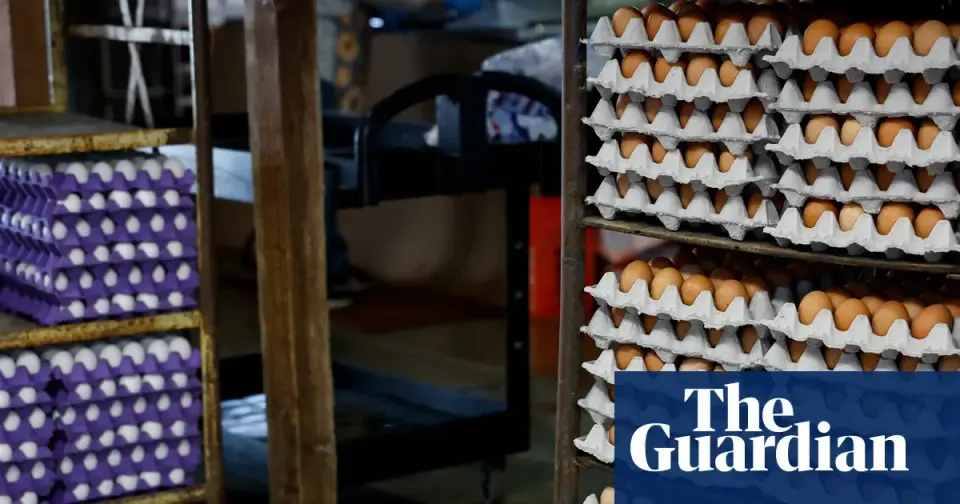FDA upgrades egg recall to Class I amid nationwide salmonella outbreak