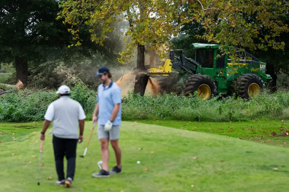 Federal judge halts tree removal at East Potomac Golf Links after preservationists report over 500 felled