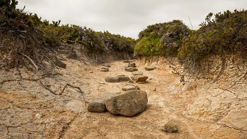 Record-Breaking 'Godzilla' El Niño Threatens 450,000 Deaths and Global Supply Chains