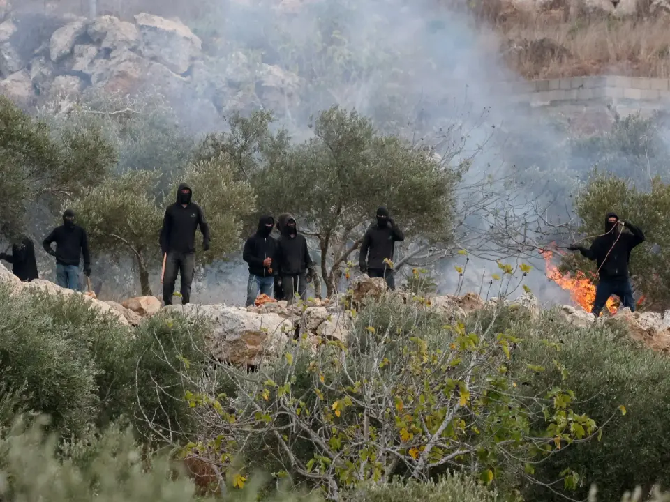 West Bank olive harvest violence escalates with new settler assault on activists