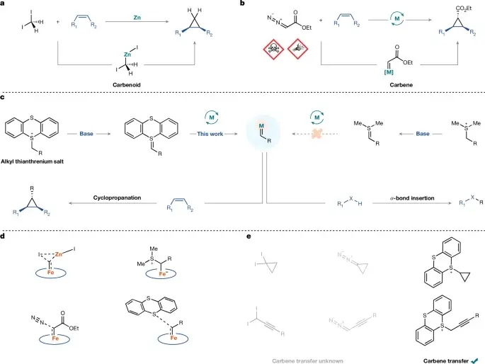 Thianthrenium Salts Enable Safe, Versatile Cyclopropanation via Iron Catalysis