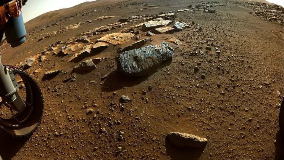 Mars dust hides a thyroid risk: perchlorate in soil could challenge future habitats