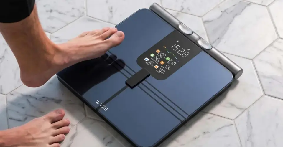 Wyze cuts price on BodyScan scale, still delivers full body composition breakdown under $80