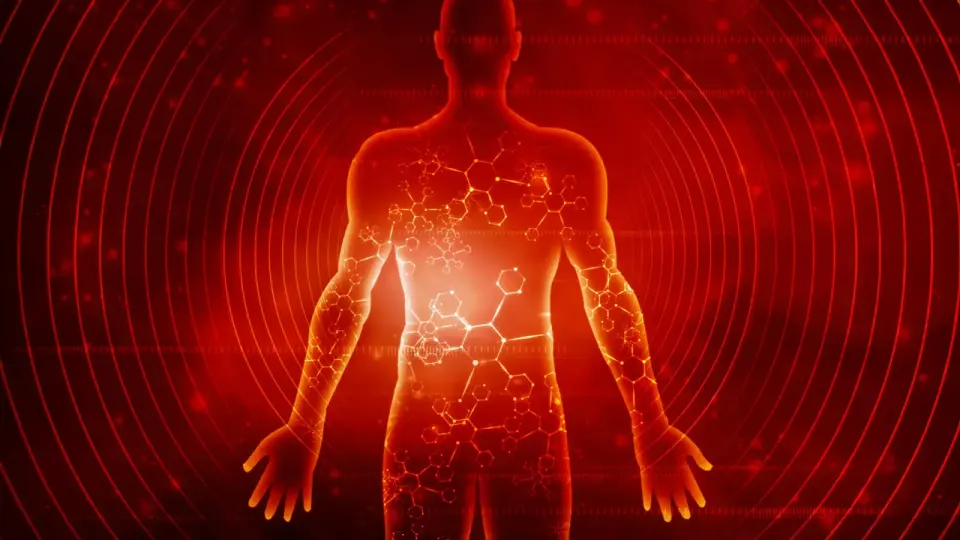 Prolonged Fasting Triggers System-Wide Molecular Shifts After Three Days