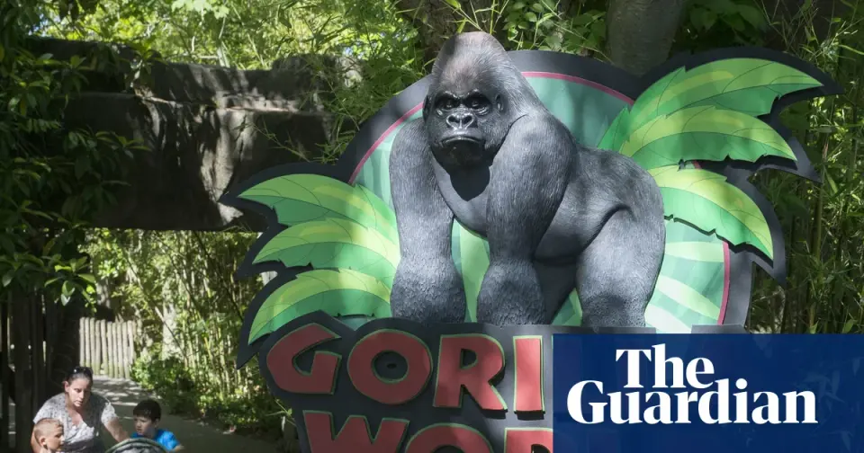 White House posts unusual Harambe tribute on 10th anniversary