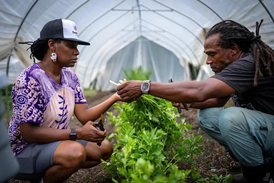 Cyclospora Outbreak Spurs Fresh Support for Black-Owned Farms