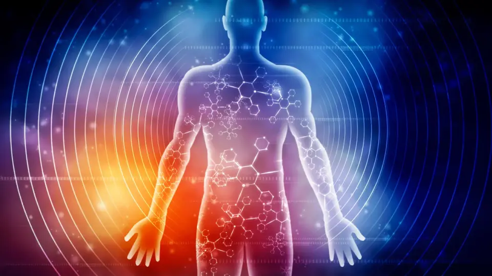 Seven-Day Fast Triggers Deep Molecular Changes After Day Three