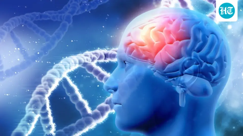 Neurologists debunk the 8-hour sleep myth and warn against daily alcohol for brain health