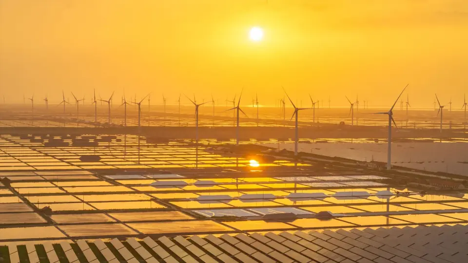 Renewables rise, nature recovers: Pearce’s hopeful blueprint for a climate solution