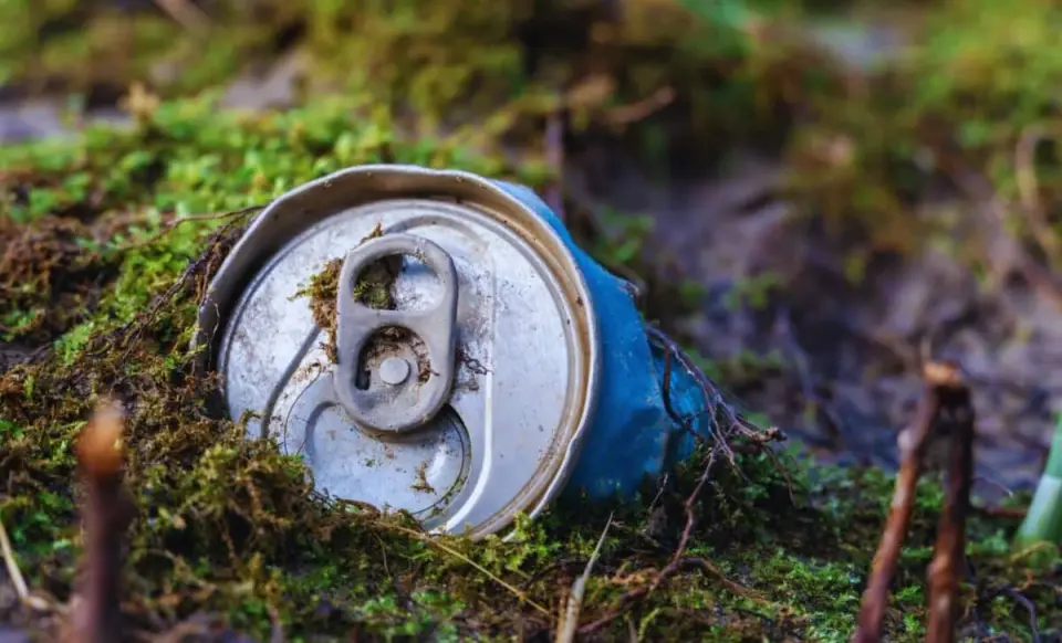 Hikers Uncover Hidden Cache: 598 Gold Coins Hidden in a Can in Czech Forest