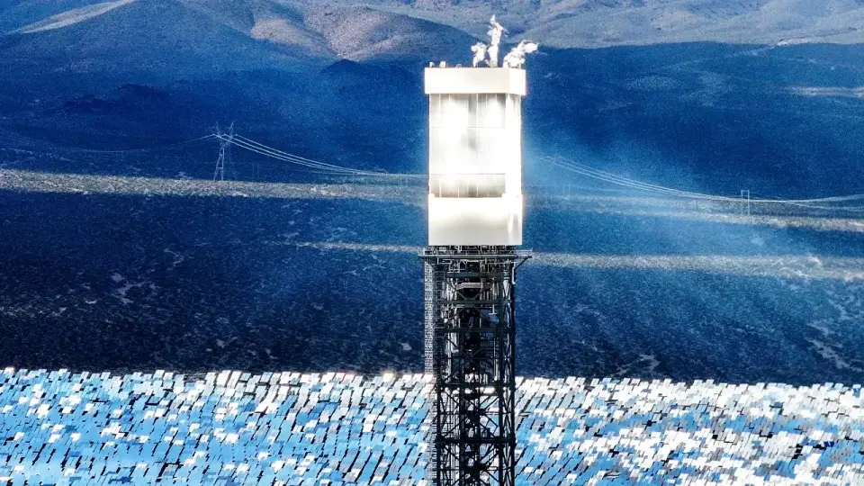 Ivanpah Solar Plant Kills Thousands of Birds While Regulators Keep It Open