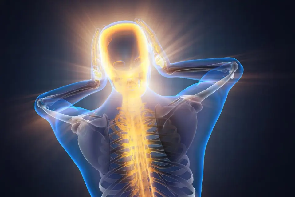 Researchers identify dedicated brain circuit fueling chronic pain