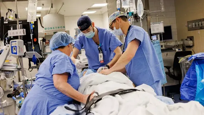 Pig Kidney Keeps Patient Off Dialysis for 271 Days in Landmark Trial