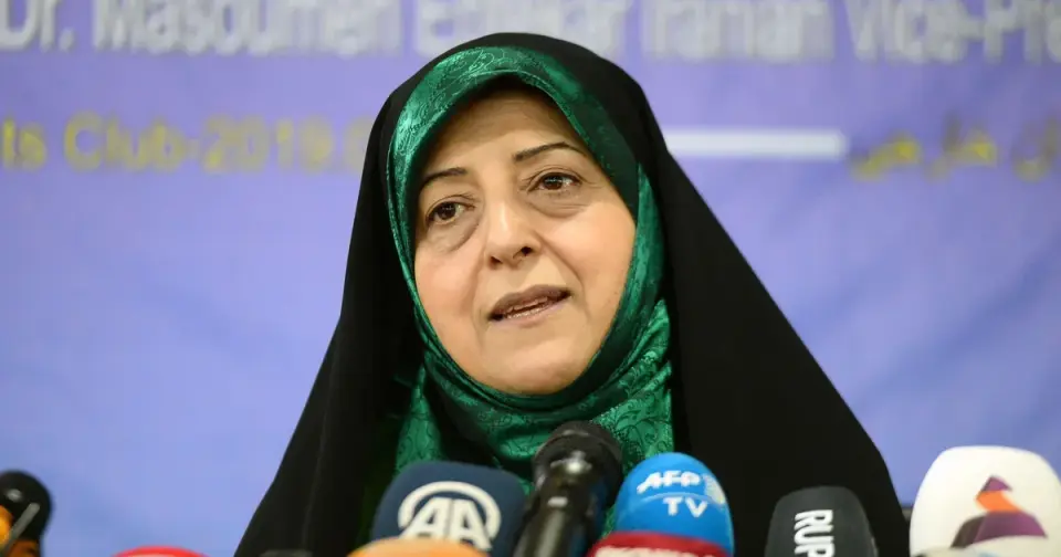 U.S. Detains Family Tied to Iranian Regime Ahead of Deportation
