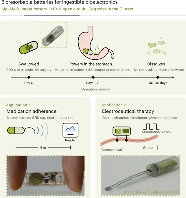 Dissolving magnesium battery powers ingestible medical devices in pig trials