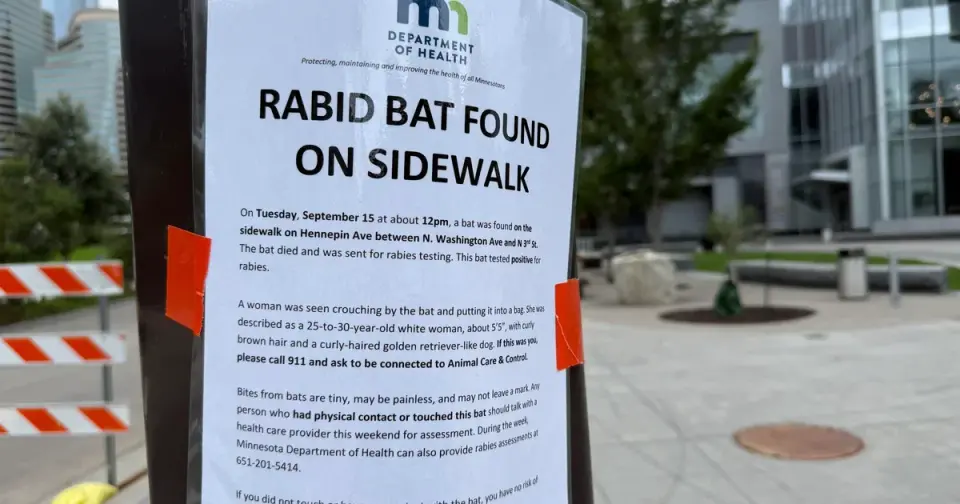 Minneapolis Health Officials Search for Woman Who Handled Rabid Bat in Downtown