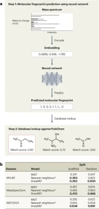 When ML Meets LC–MS/MS: Generalization Gaps in Small-Molecule Identification