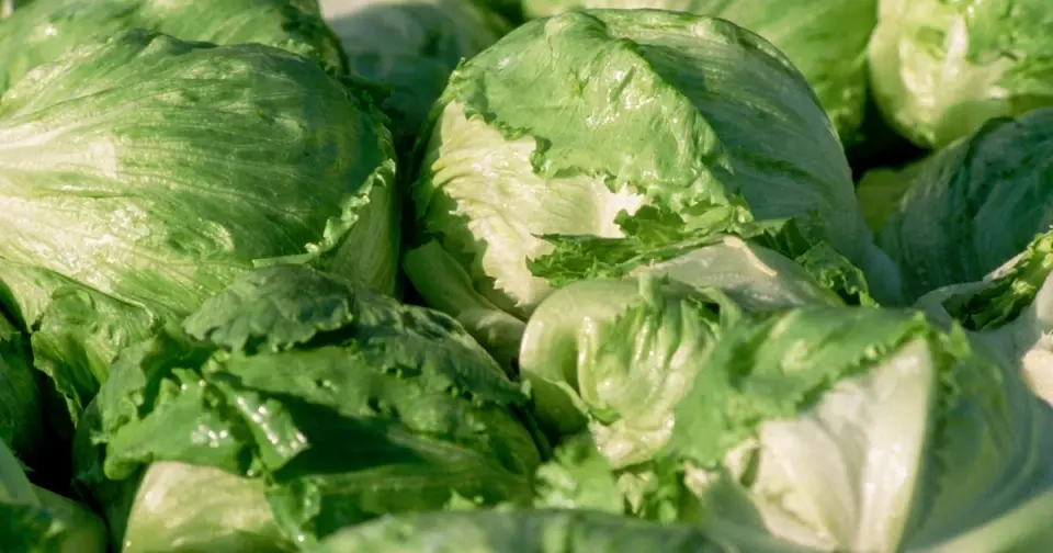 Expanded cyclosporiasis outbreak linked to central Mexico lettuce reaches six more states