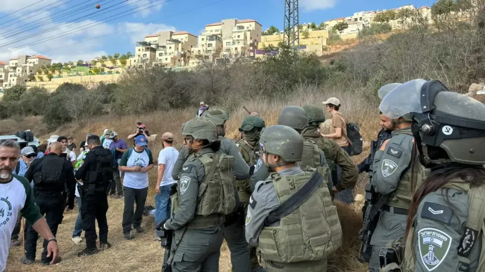 IDF Detains 90 Volunteers in West Bank Olive Harvest, Including US Nominee Brad Lander
