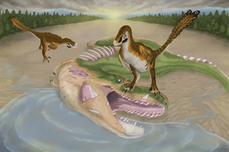 Tiny Raptor Likely Scavenged on Giant Tyrannosaur Relative, Fossil Study Shows